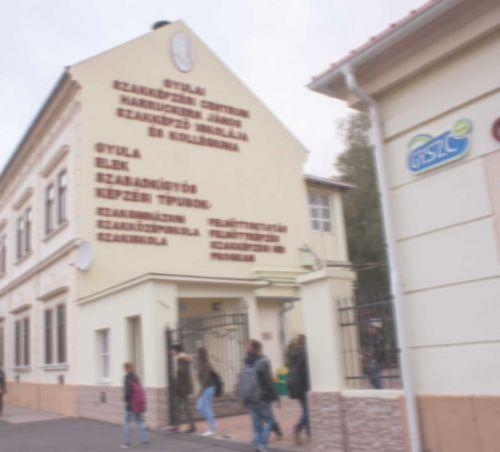 Felnőttek szakmai oktatására jelentkezési lap. 